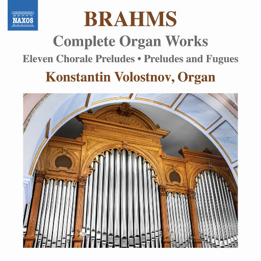 陆华吴刚高志欣赵颖大团结
